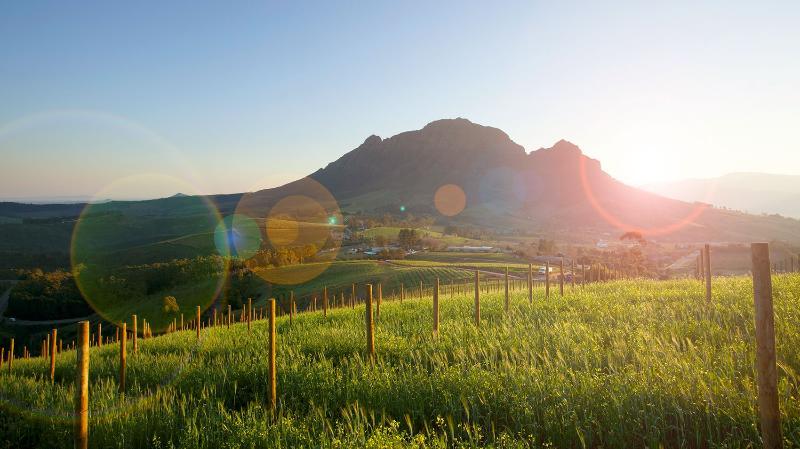 Delaire Graff Lodges And Spa Stellenbosch Exterior foto